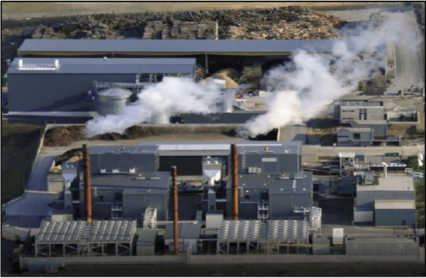 BIOMASS CHP PLANT, Belgium